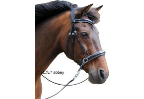 Abbey kaakgekruist bitlooshoofdstel