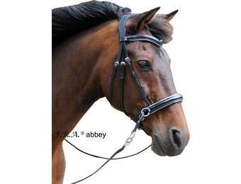 Abbey kaakgekruist bitlooshoofdstel