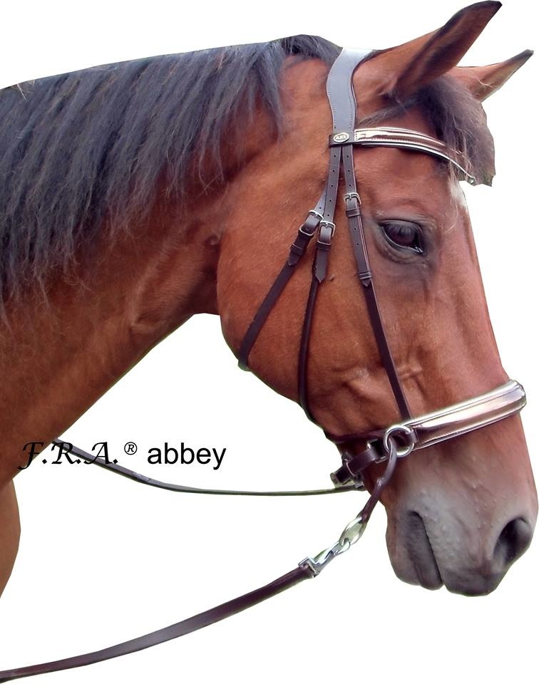 Abbey jaw-crossed bitless bridle, chic appearance
