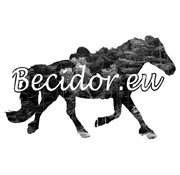 Becidor