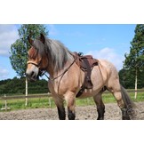 Tinver Kinnkreuz bitless Zaumzeug, große Pferde