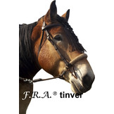 Tinver chin cross bitless bridle, big horses