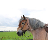 Tinver chin cross bitless bridle, big horses