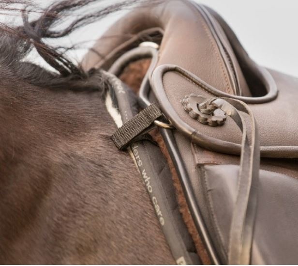 Wat te doen als de pommel zeer doet tijdens rijden?