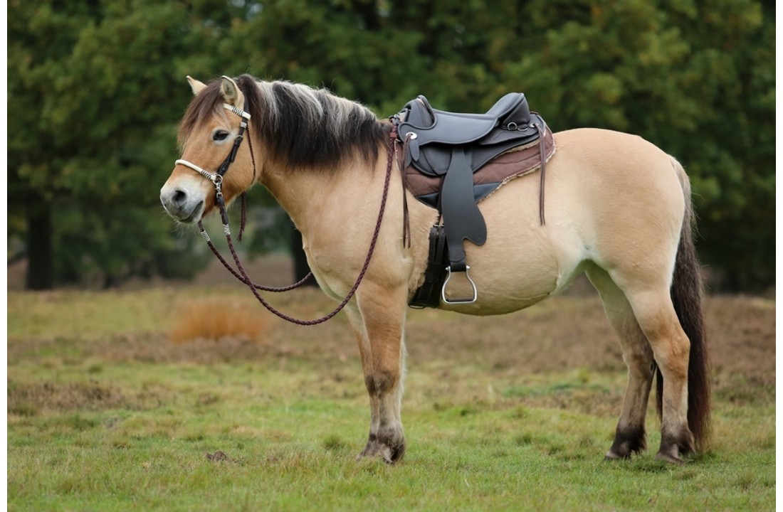 Atlanta - endurancezadel leder
