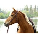 Western Hoofdstel leer