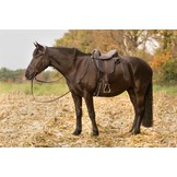 Cherokee - veelzijdigheidszadel leer