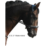 Alizee Mistral sidepull bitloos hoofdstel