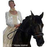 Alizee Mistral Sidepull gebissloses  Kopfstück