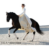 Alizee Mistral sidepull bitloos hoofdstel