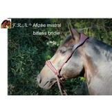 Alizee Mistral Sidepull gebissloses  Kopfstück