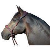 Alizee Mistral sidepull bitless bridle