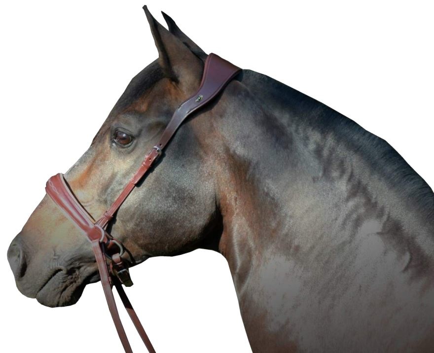 Alizee Mistral Sidepull gebissloses  Kopfstück