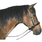 Alizee Mistral sidepull bitless bridle