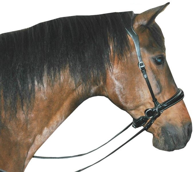 Alizee Mistral Sidepull gebissloses  Kopfstück