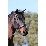 Aruba Sidepull gebissloses Kopfstück mit 4 austauschbaren farbigen Pads