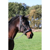 Aruba Sidepull gebissloses Kopfstück mit 4 austauschbaren farbigen Pads