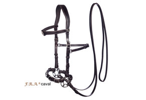 Caval cavesson and bitless bridle