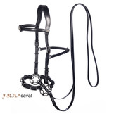 Caval cavesson and bitless bridle leather