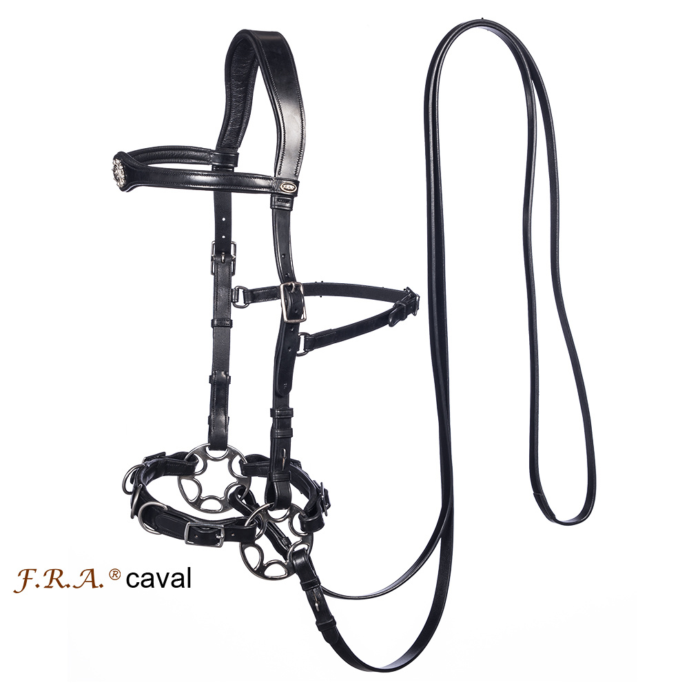 Caval cavesson and bitless bridle leather