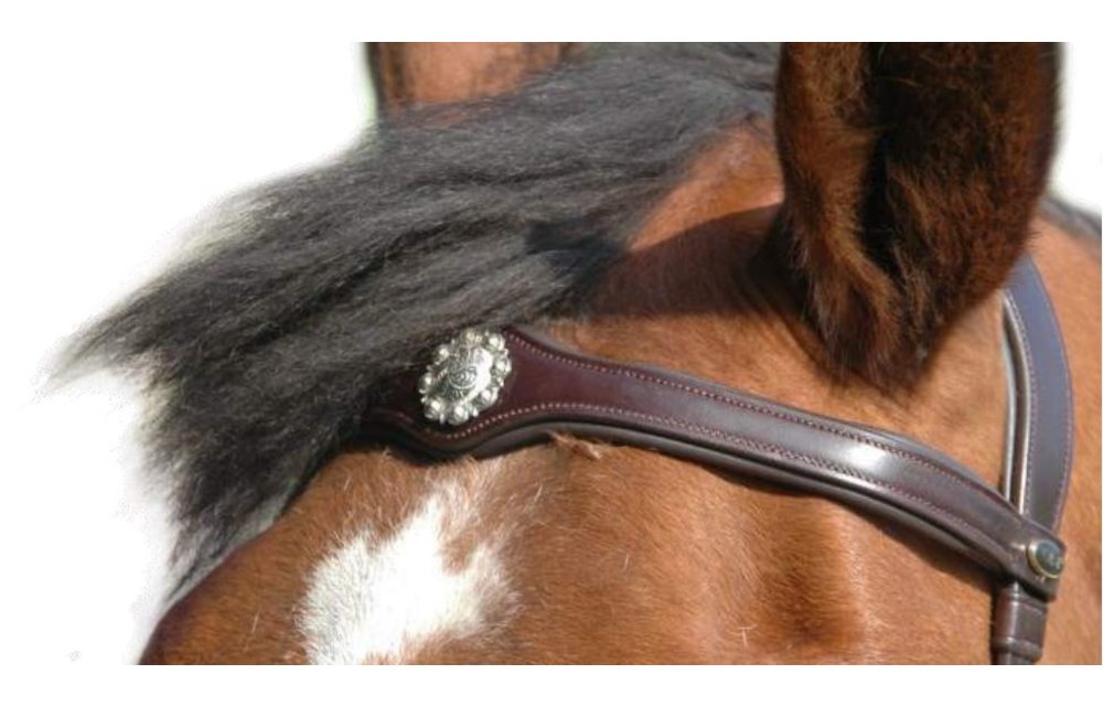 Caval kaptoom en bitlooshoofdstel leer