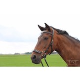 Caval kaptoom en bitlooshoofdstel leer