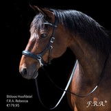 Rebecca sidepull bitless bridle leather