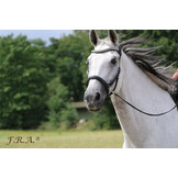 Rebecca sidepull bitless bridle leather