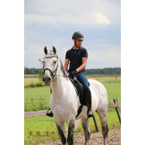 Rebecca sidepull bitless bridle leather