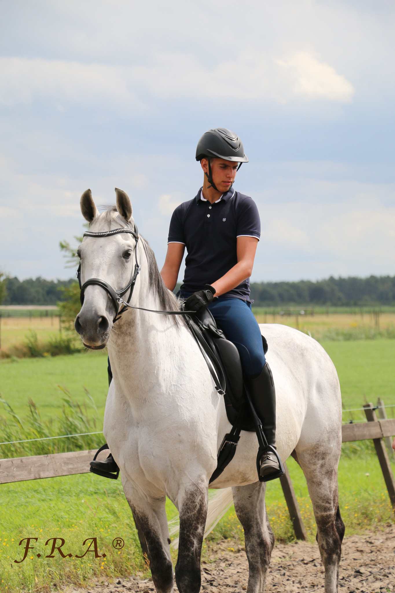 Rebecca sidepull bitless bridle leather