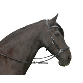 Rebecca sidepull bitless bridle leather