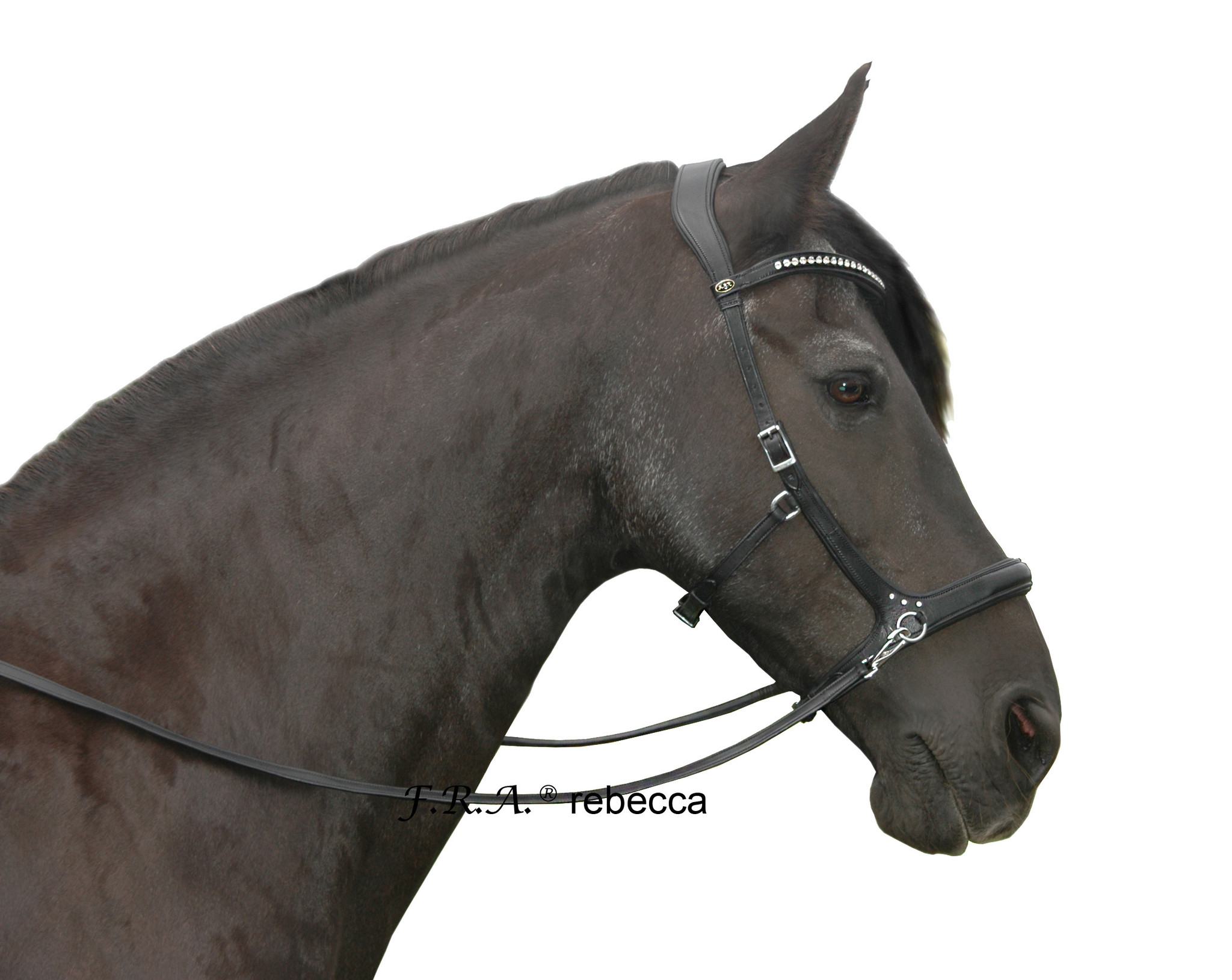 Rebecca sidepull bitless bridle leather