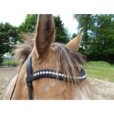 Rebecca sidepull bitless bridle leather