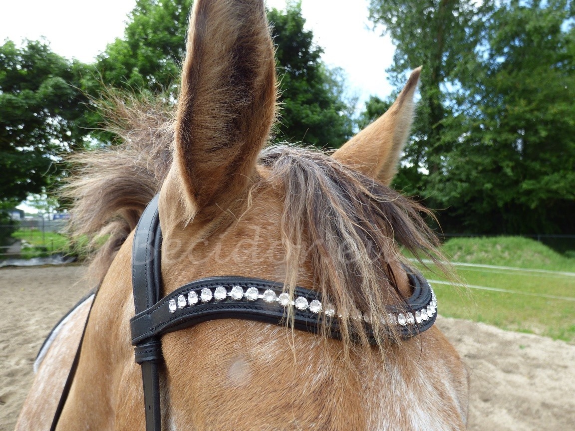 Rebecca sidepull bitless bridle leather