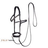 Wendy B cavesson and bitless bridle leather