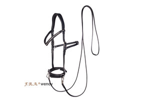 Wendy B Cavesson und bitless Zaumzeug