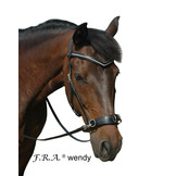 Wendy B cavesson and bitless bridle leather