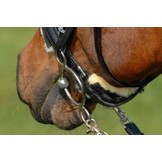 Lamsvel kinriem bontje met klittenband