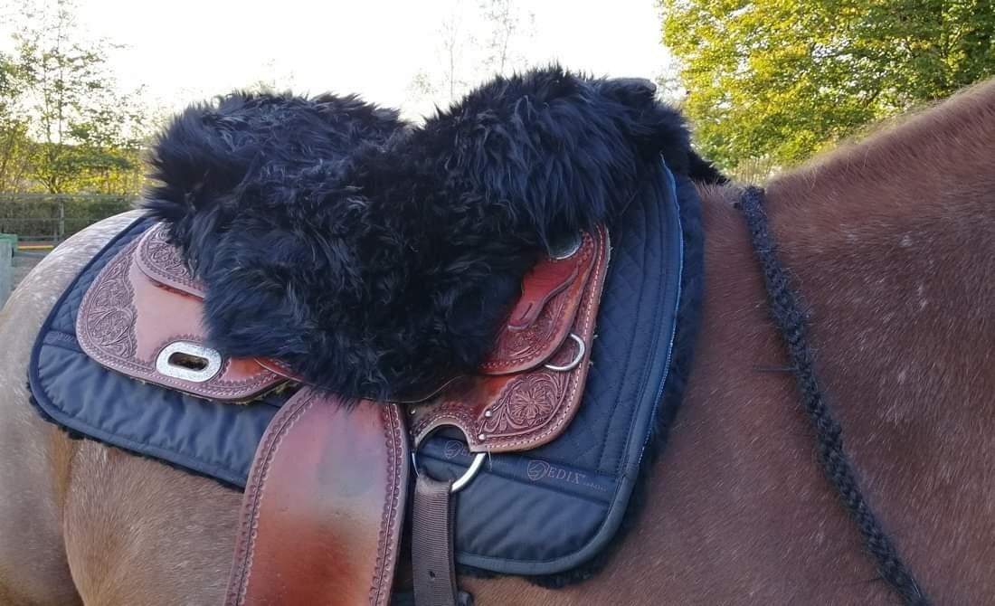 Western Sitzpolster lammfelle Alvin