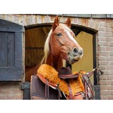 Western Sitzpolster lammfelle Alvin