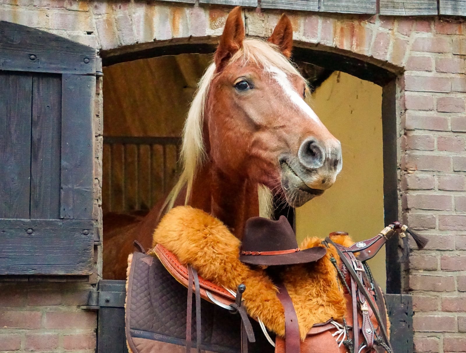 Western Sitzpolster lammfelle Alvin