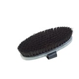 borstel voor een schimmel of wit paard