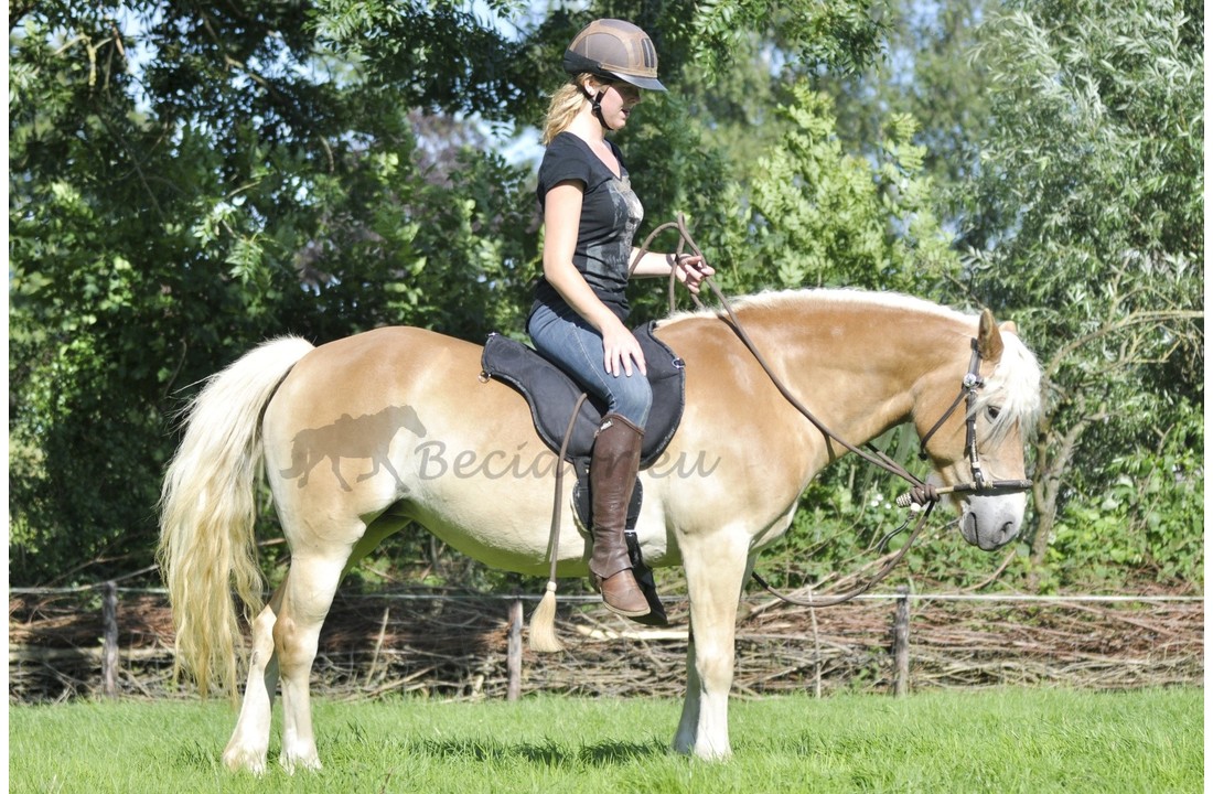Ride On Pad - Barebackpad anatomisch