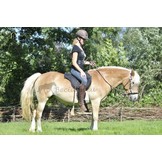 Ride On Pad - Barebackpad anatomisch