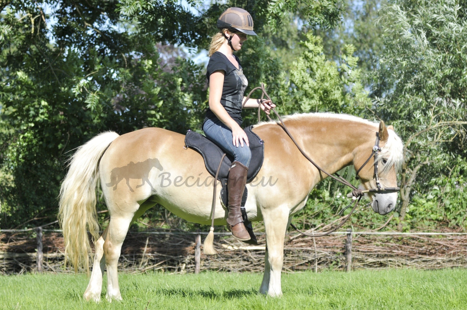 Ride On Pad - Barebackpad anatomisch