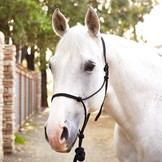 Rope halter + leadrope bamboo sustainable