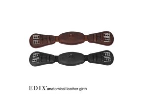dressage girth anatomical