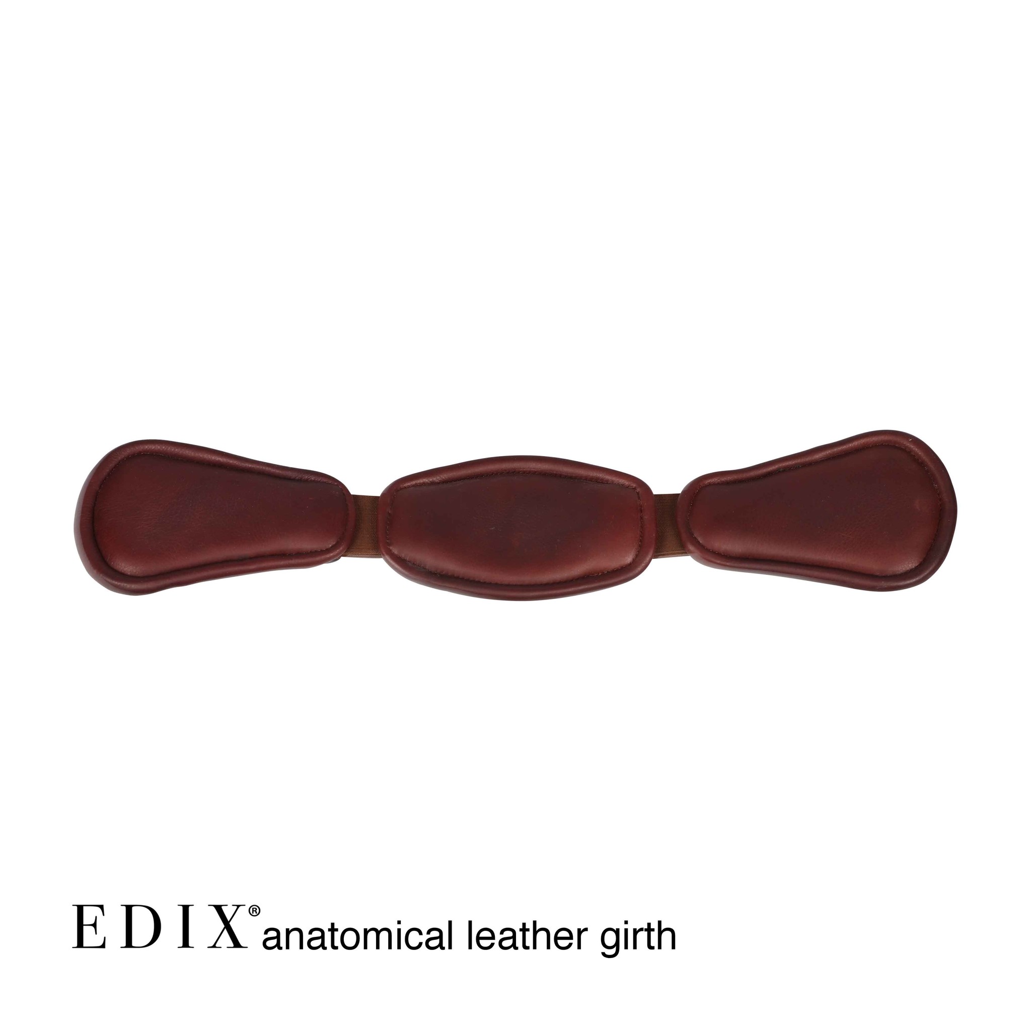 dressage girth anatomical leather