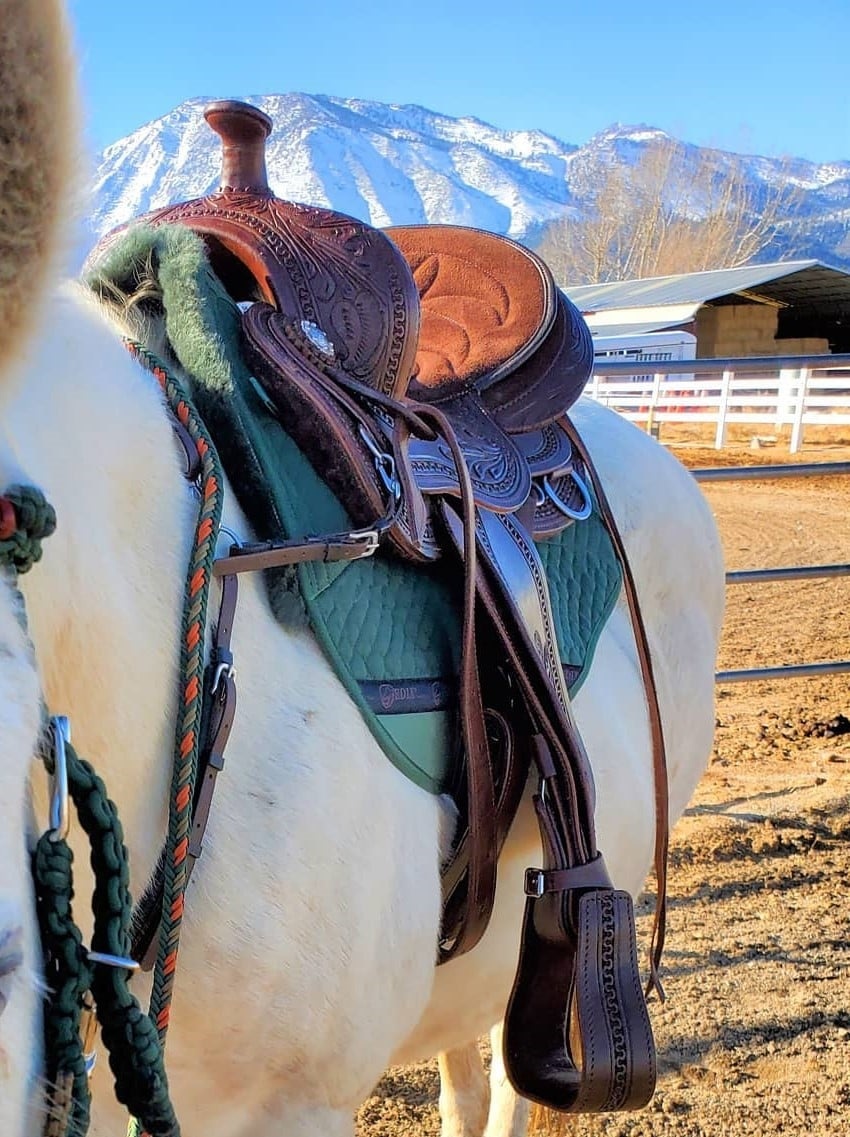 pad lambskin roundskirt western with inserts