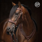 Soft Feel Barock Decor Zaumzeug Leder